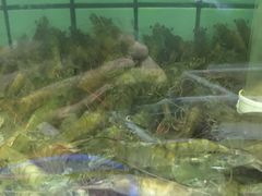 -海岛渔村大酒店(云霄路店)