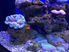 石家庄动物园-石家庄市动物园