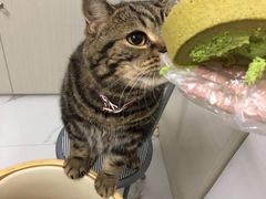 -小西家作(富力爱丁堡店)