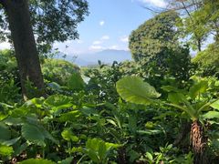 -福建鲤鱼洲酒店