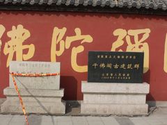 -旱码头