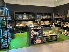 -FAIRYLAND龙族星球主题餐厅(凯丹广场店)