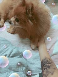 -周忆刺青原创设计定制