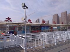 -海河游船-永乐码头(大悲院)