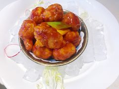 -点都德·毕德寮