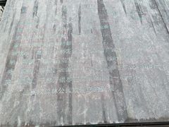 -旗山国家森林公园