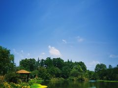 -桤木河湿地公园