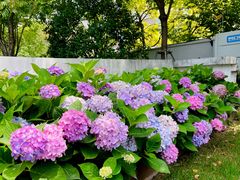 -北外滩滨江绿地