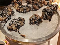 -济南香格里拉·咖啡泉自助餐厅