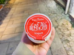 -狐狸家·酸奶酪专门店(平江路店)