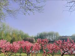 -仁和公园(顺义区)