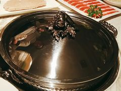 -汤城·料青山