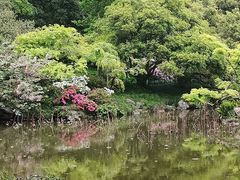 -杭州植物园