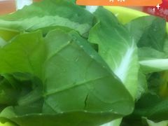 -武陟虹兴砂锅(普庆路店)