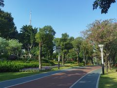 -文华公园(禅城区)