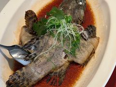 -顺峰(农展馆店)