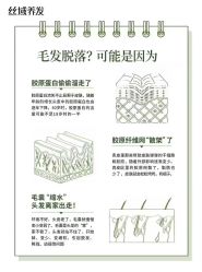 -丝域养发馆