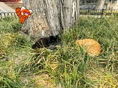 -大钟寺古钟博物馆