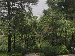 -玉树公园