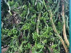 -华南国家植物园-售票处