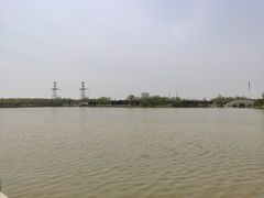 -大港湿地公园