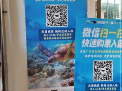 -广东惠东海龟国家级自然保护区