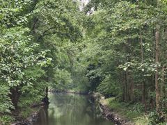 -桤木河湿地公园