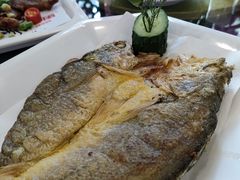 -绿雅居原生态农庄(小涌店)