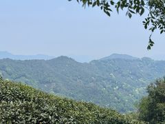 -十里琅珰