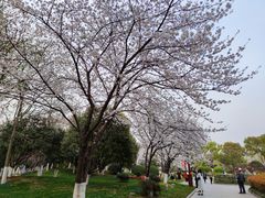 -堤角公园