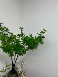 -变美丽半永久纹眉连锁·机器野生眉·洗眉