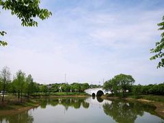 -扬州芍药园(仪征市)