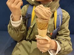 -CREAM STORY意大利手工冰淇淋&甜品(万象前海店)