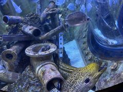 -成都浩海立方海洋公园