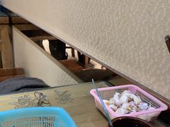-天发芽·何记葫芦头泡馍·老字号(小南门店)
