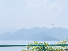 -望湖烤鱼