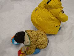 -Mr·Kuma酷么先生雪之乐园