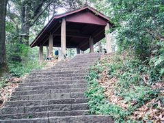 -西湖风景区十里琅珰-五云山