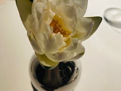 -Oyster Talks 四度蚝法餐厅
