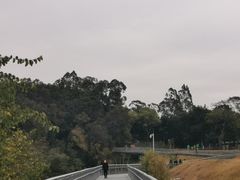 -广州雕塑公园