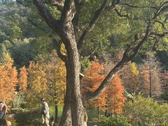 -云溪植物园