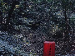 -淄博聊斋城景区