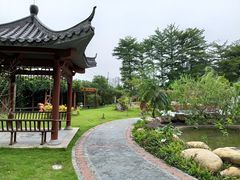-广州神农草堂中医药博物馆