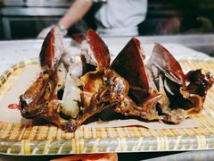 -鸽子窝(青塔店)