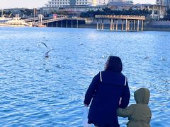 -巧克力渔家.小船海鲜胶东菜(万平口店)