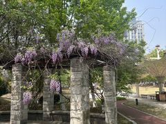 -长广溪湿地公园