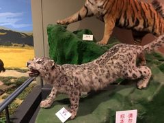 -天津自然博物馆