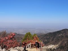 -秦岭终南山世界地质公园翠华山景区