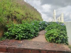 -龙岩森林水乡景区