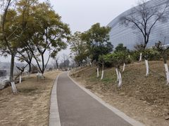 -桂溪生态公园